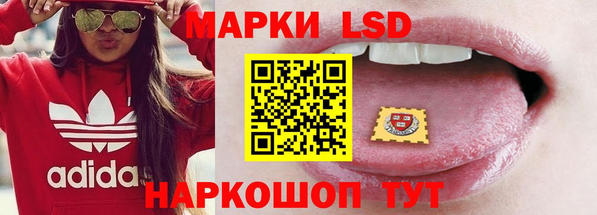 LSD-25 экстази кислота  Вход с VPN  Железноводск 