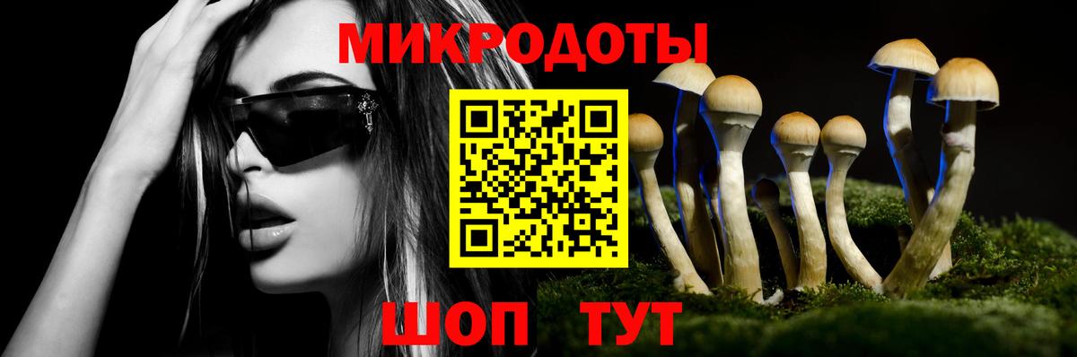 Псилоцибиновые грибы MAGIC MUSHROOMS  Псилоцибиновые грибы Magic Shrooms  Вход с VPN  Железноводск 
